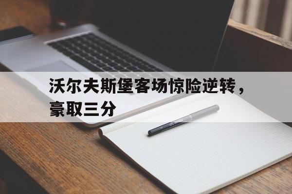 九游体育下载-沃尔夫斯堡客场惊险逆转，豪取三分